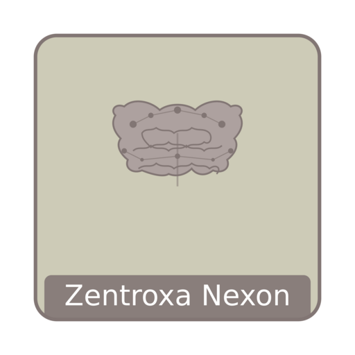 Логотип Zentroxa Nexon